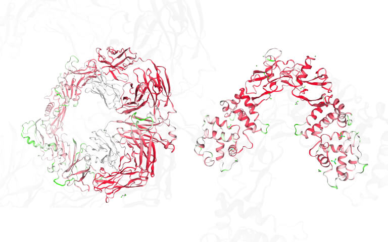 Addressing Weight-Loss Plateaus: GDF-8 and GDF-15 as Emerging Targets for Fat Reduction and Metabolic Function